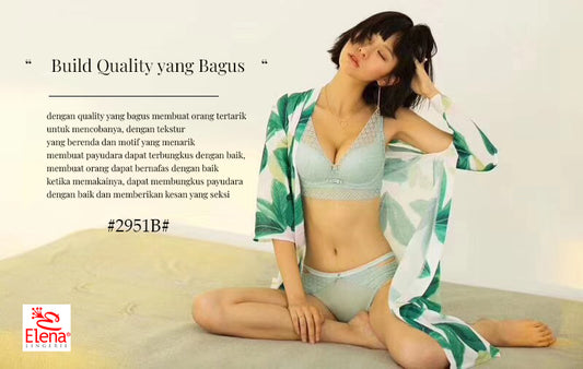 Elena E 2951B Kawat Busa Tipis Full Cup B Kait 3 Bh Wanita 32B - 38B